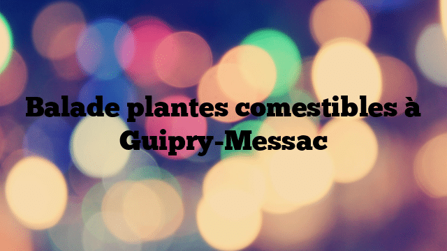Balade plantes comestibles à Guipry-Messac