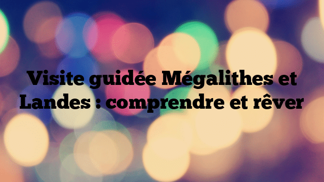Visite guidée Mégalithes et Landes : comprendre et rêver